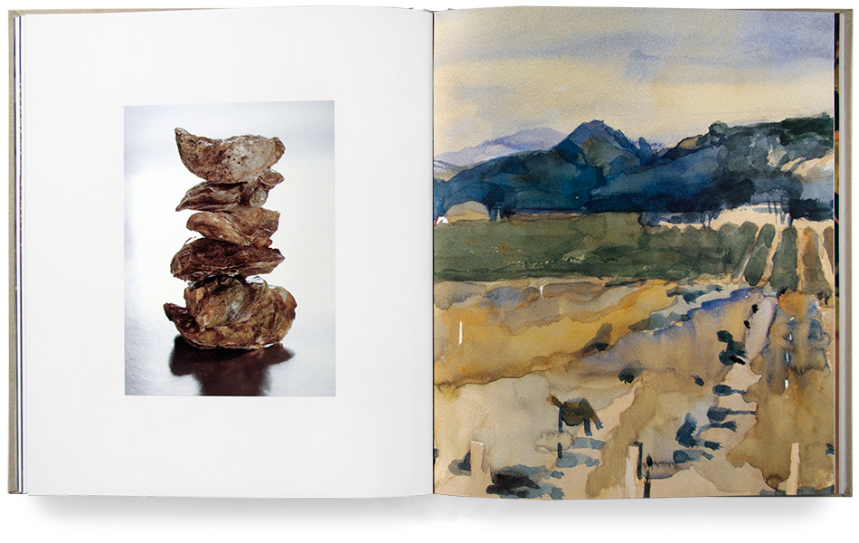 In the Shade of the Vines